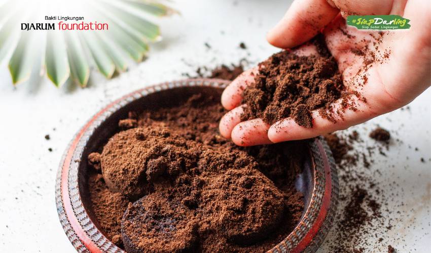 Dari Sisa Seduhan, Ampas Kopi Jadi Nutrisi untuk Tanaman