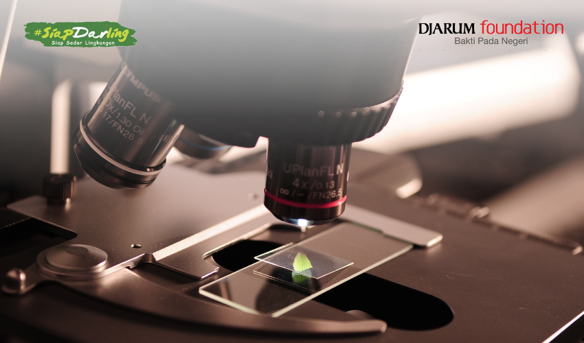 Dunia Kecil yang Menakjubkan di Bawah Mikroskop