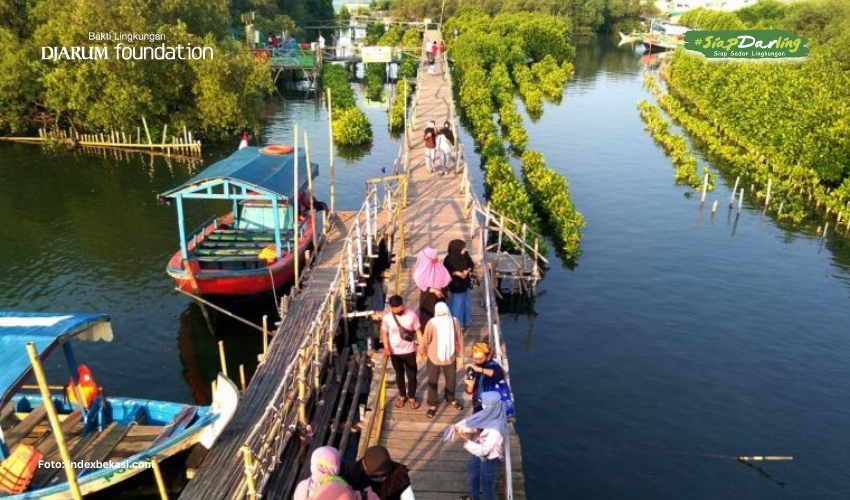 Sungai dan Mangrove Bestie Sejati