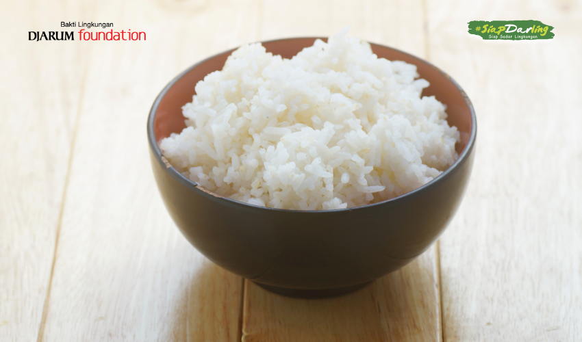 Sampah Nasi Basi Jadi Nutrisi? Yuk, Bikin Cairan Hidroponik Sendiri!