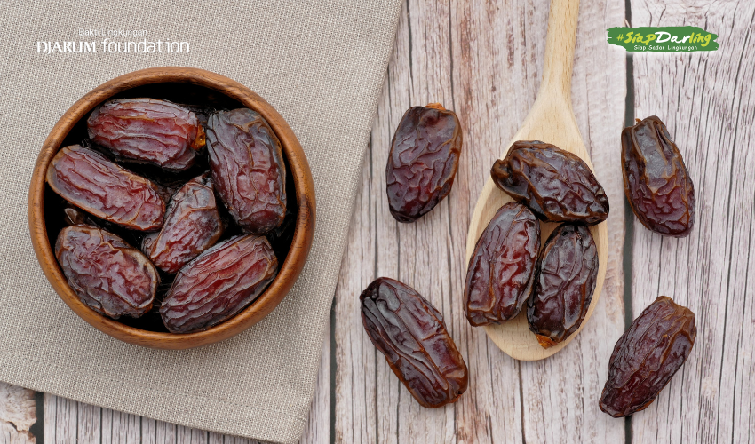 Kurma di Indonesia? Bisa Banget! Gak Perlu ke Timur Tengah Buat Panen