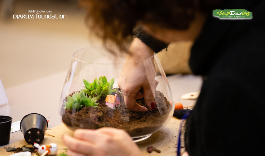Botol Bekas Jadi Terrarium? Estetik, Murah, dan Ramah Lingkungan, Darlings!