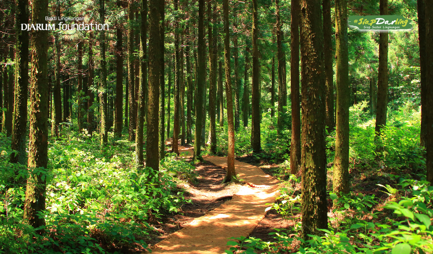 7 Agustus, Yuk Bikin Hari Hutan Nasional Jadi Lebih Kece dan Bermakna