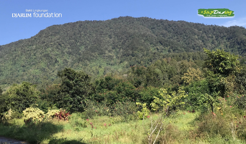 Gunung Gede Pangrango Ditutup Karena Sampah.