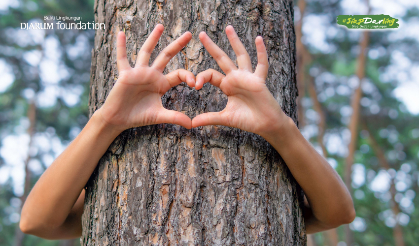 Tanda-Tanda Kamu Sayang Sama Pohon