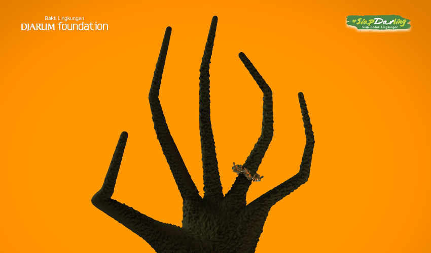 Pohon Zombie Raksasa: Kisah Nyata Jaringan Kehidupan di Bawah Tanah