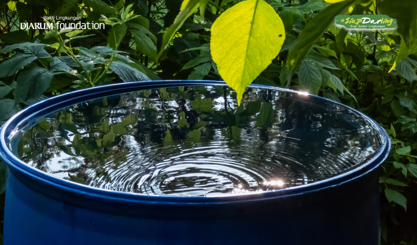 Menampung Air Hujan, Kearifan Lokal Jaga Lingkungan