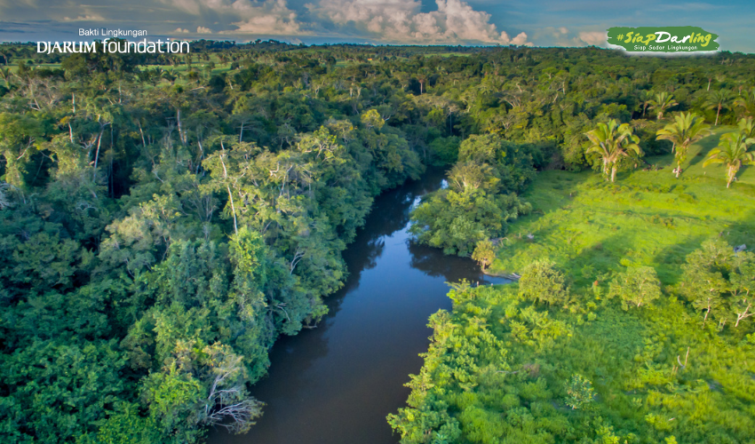 Hewan di Sungai Amazon Ukurannya Bisa “Nggak Masuk Akal”