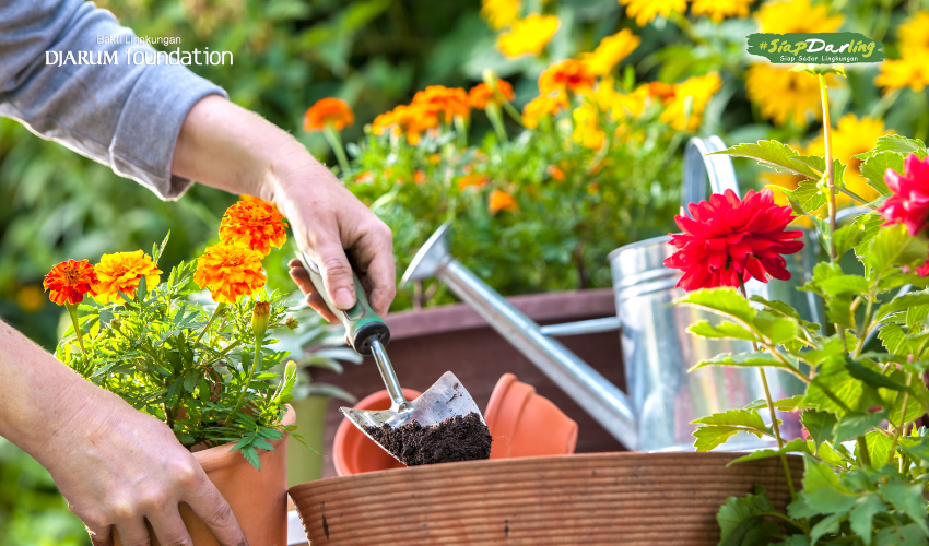 6 Tanda Kamu Udah Waktunya Mulai Berkebun (Serius, Ini Bukan Cuma Buat Ibu-ibu)