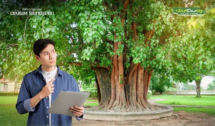 Mengapa Menghitung Umur Pohon di Indonesia Sangat Sulit?