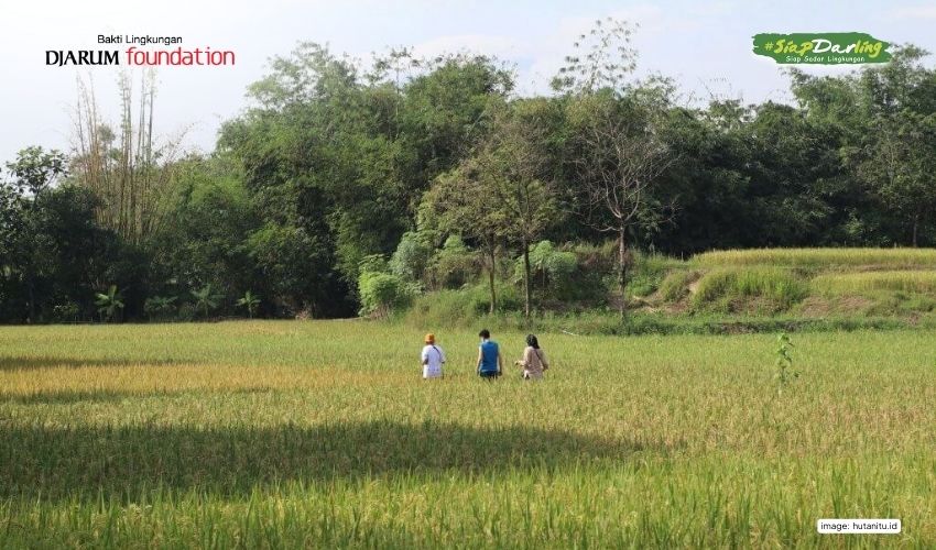 Pernah Coba Investasi Saham tapi Hasilnya Oksigen? Kenalan Deh Sama Hutan Kolektif Majalengka!