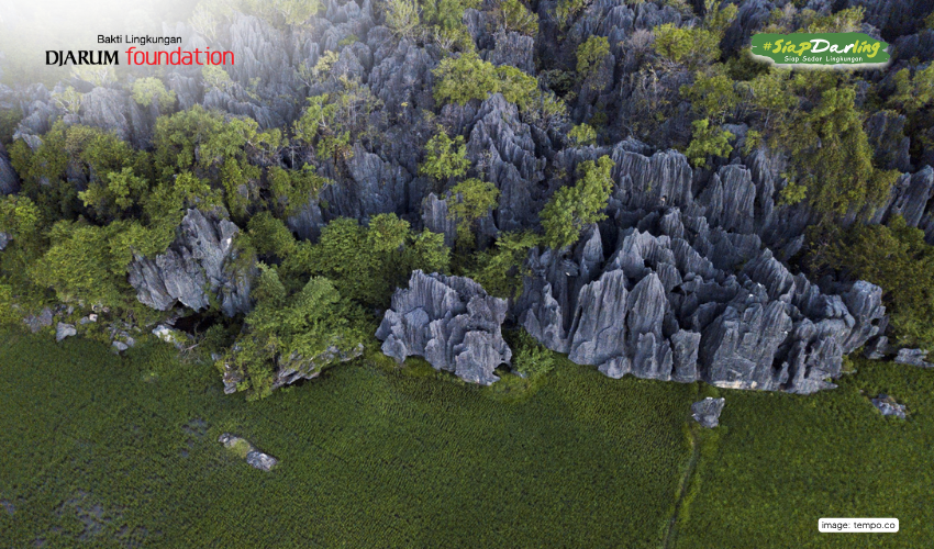 Tahu Gak Kalau Air Minum Kita Berasal dari Sini?