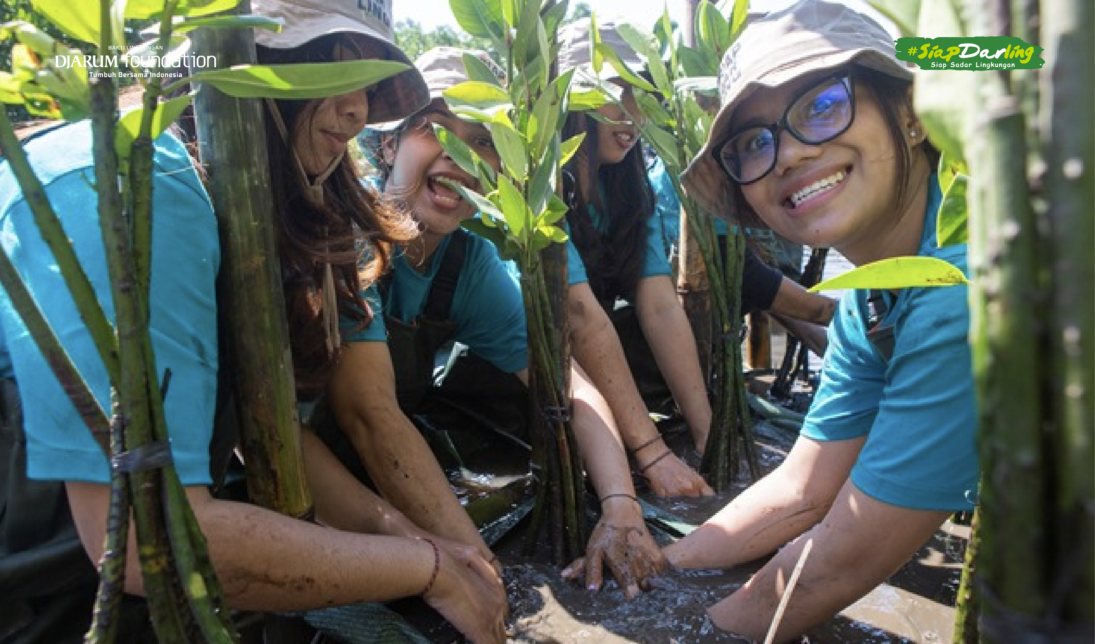 Mangrove, Benteng Terakhir Garis Pantai Indonesia