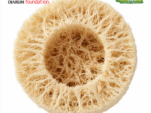 Tinggalkan Spons Busa! Kenalan dengan Loofah, Buah Oyong yang Jadi Alat Cuci Piring Ramah Lingkungan