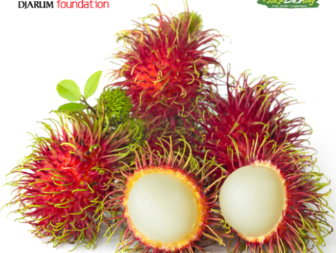 Tahun 2025 Belum Makan Rambutan? Simak Sederet Manfaat 'Underrated' dari Biji Hingga Akarnya