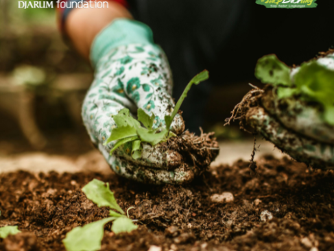 6 Tanda Kamu Udah Waktunya Mulai Berkebun (Serius, Ini Bukan Cuma Buat Ibu-ibu)