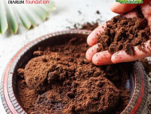 Dari Sisa Seduhan, Ampas Kopi Jadi Nutrisi untuk Tanaman