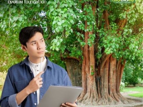 Mengapa Menghitung Umur Pohon di Indonesia Sangat Sulit?