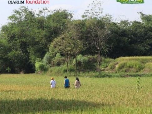 Pernah Coba Investasi Saham tapi Hasilnya Oksigen? Kenalan Deh Sama Hutan Kolektif Majalengka!