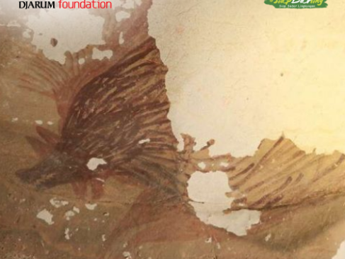 Lukisan Gua di Goa Meratus yang Bikin Ilmuwan Modern Geleng-geleng