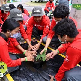 Aksi Darling Mangrove (Environmental Actions through Mangrove Planting) at Pemogan - Denpasar