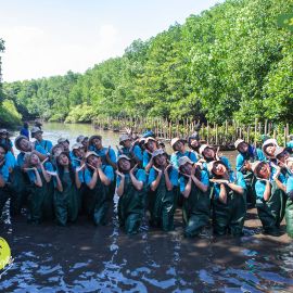 #KOPDAR Mangrove Pemogan, Bali